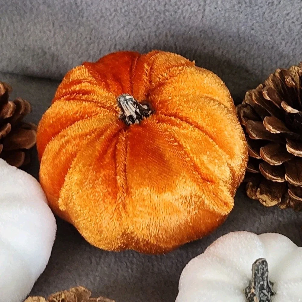 Fall Thanksgiving Bowl Filler Table Scatter Pumpkins Acorns Pinecones 35 Pc NEW